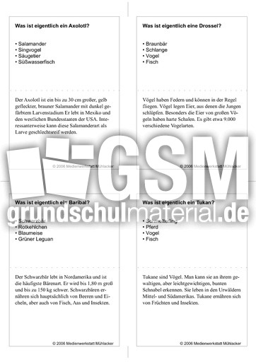 Quiz-Karten-Tiernamen 55.pdf